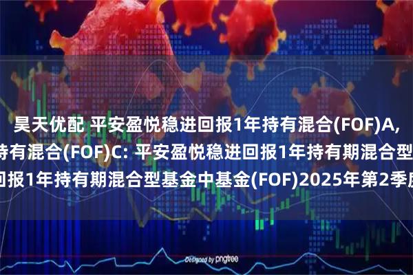 昊天优配 平安盈悦稳进回报1年持有混合(FOF)A,平安盈悦稳进回报1年持有混合(FOF)C: 平安盈悦稳进回报1年持有期混合型基金中基金(FOF)2025年第2季度报告